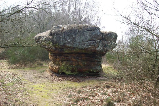 De Champignon
 - Volgende foto