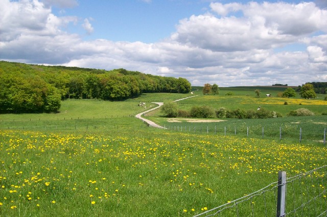 Wandeling - Volgende foto