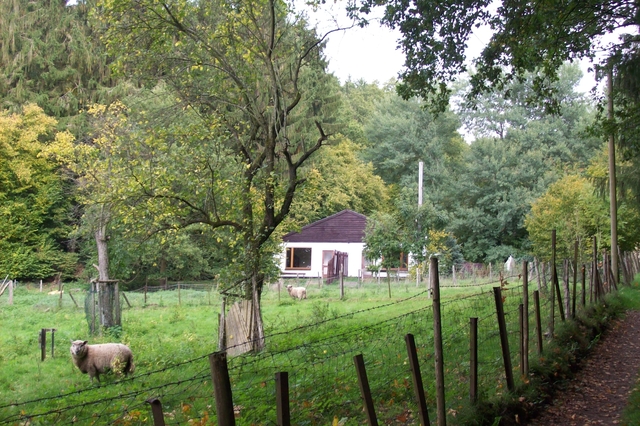 Vooraanzicht Vakantiehuisjes in Luxemburg